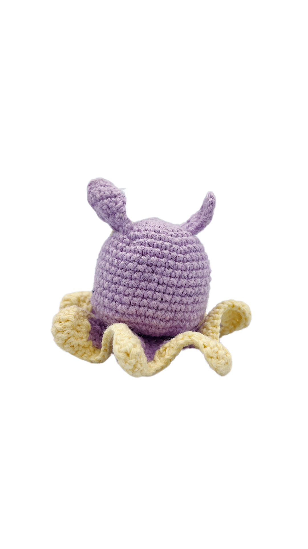 La pieuvre Dumbo 🐙